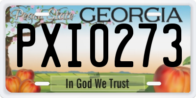 GA license plate PXI0273