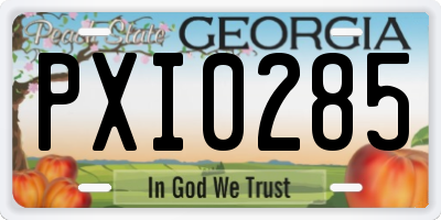 GA license plate PXI0285