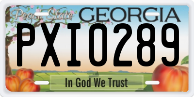 GA license plate PXI0289