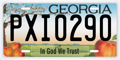 GA license plate PXI0290