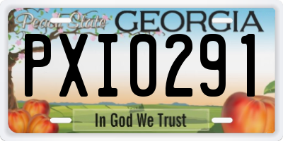 GA license plate PXI0291