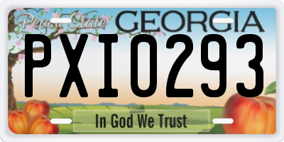 GA license plate PXI0293