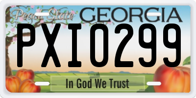 GA license plate PXI0299