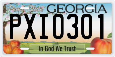 GA license plate PXI0301