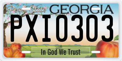 GA license plate PXI0303
