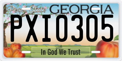 GA license plate PXI0305