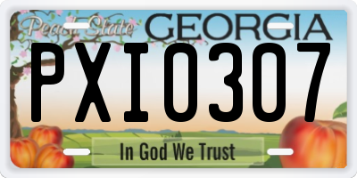GA license plate PXI0307