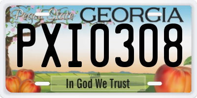 GA license plate PXI0308