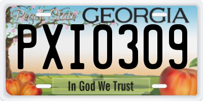 GA license plate PXI0309