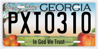 GA license plate PXI0310
