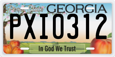GA license plate PXI0312