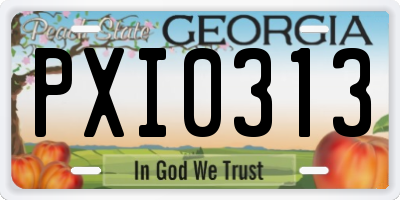 GA license plate PXI0313