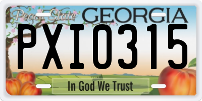 GA license plate PXI0315