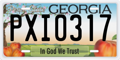 GA license plate PXI0317