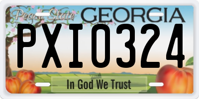 GA license plate PXI0324