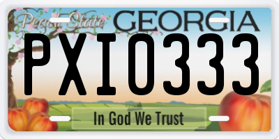 GA license plate PXI0333
