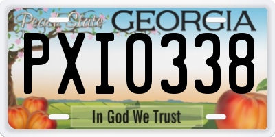 GA license plate PXI0338
