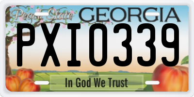 GA license plate PXI0339