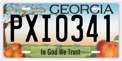 GA license plate PXI0341