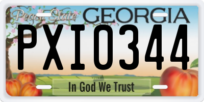 GA license plate PXI0344