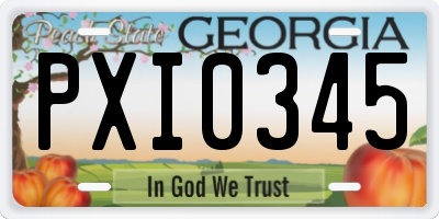 GA license plate PXI0345