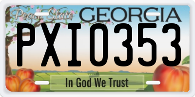 GA license plate PXI0353