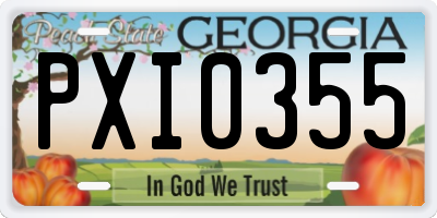 GA license plate PXI0355