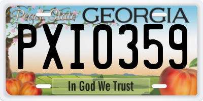 GA license plate PXI0359