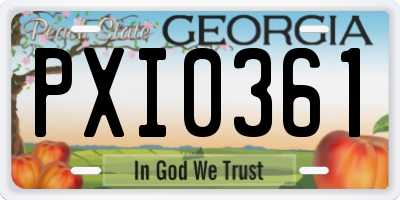 GA license plate PXI0361