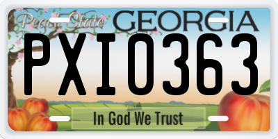 GA license plate PXI0363