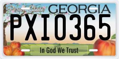GA license plate PXI0365