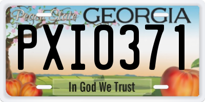 GA license plate PXI0371