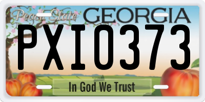 GA license plate PXI0373
