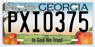 GA license plate PXI0375