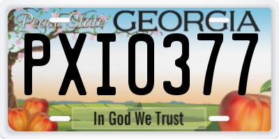 GA license plate PXI0377