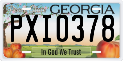 GA license plate PXI0378