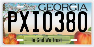 GA license plate PXI0380