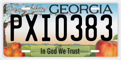 GA license plate PXI0383