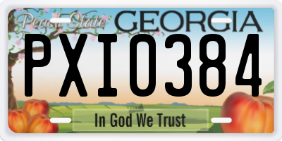 GA license plate PXI0384