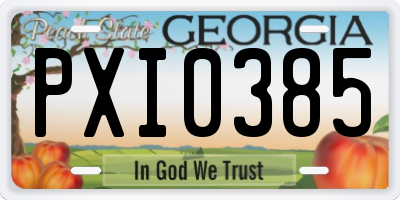 GA license plate PXI0385
