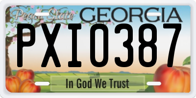 GA license plate PXI0387