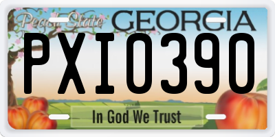 GA license plate PXI0390