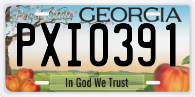 GA license plate PXI0391