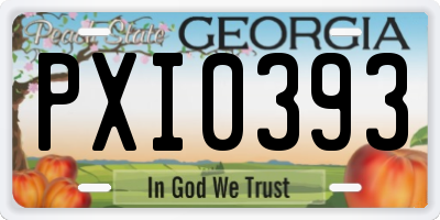 GA license plate PXI0393