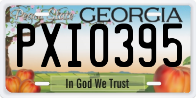 GA license plate PXI0395