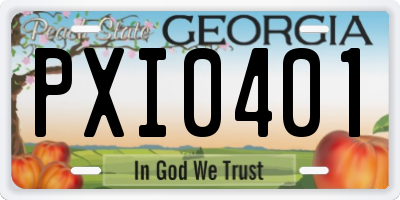 GA license plate PXI0401