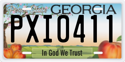 GA license plate PXI0411