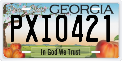 GA license plate PXI0421