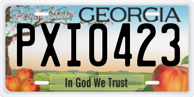 GA license plate PXI0423