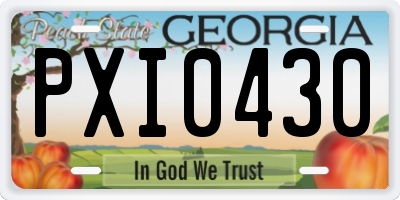 GA license plate PXI0430